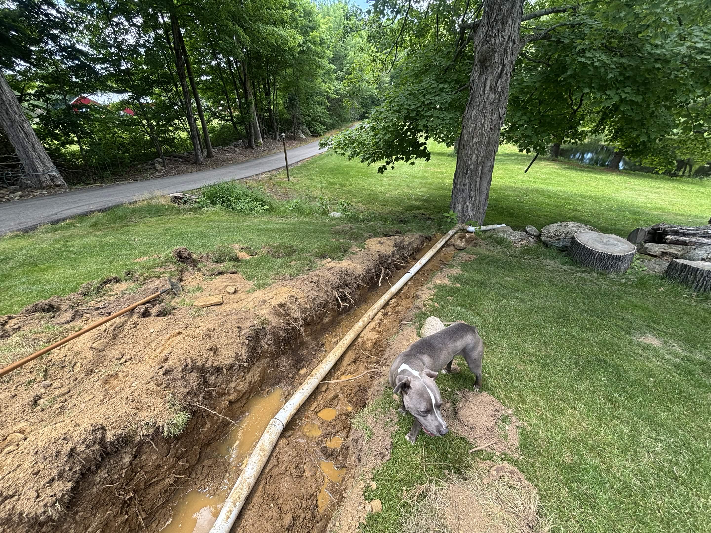 Water pooling across yard — no outlet before repair